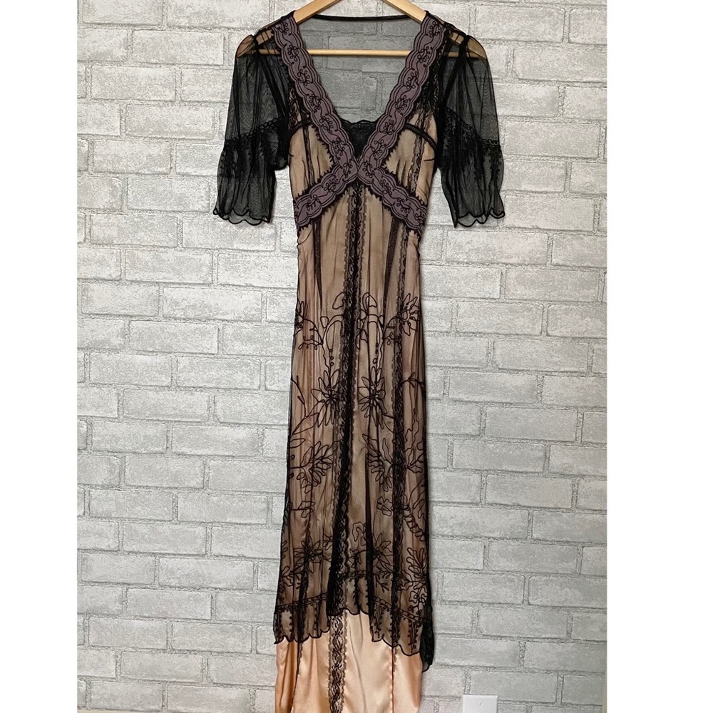 Dusty Daze Flapper Embroidered Sheer Dress